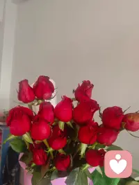 想要修复婚姻，首先要放下谁对谁错的执念，婚姻不是辩论赛，争赢了道理，往往会输了感情。配图