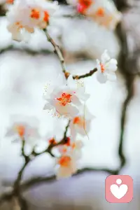 倾听师的核心价值在于提供无评判的安全空间，促进情绪释放和自我认知，而不是直接给出建议。配图