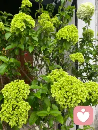 我在这里，不评判，不打断，只是听。配图