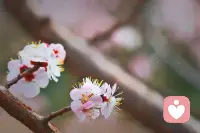 真正的爱，是两个独立灵魂的看见与尊重，
不是共生、不是纠缠、不是替谁活一生。配图