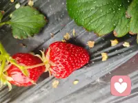 接纳像一个守护者，不争不辩，只是稳稳地在那里，轻轻地说：“没关系，我陪着你配图