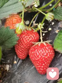 接纳像一个守护者，不争不辩，只是稳稳地在那里，轻轻地说：“没关系，我陪着你配图