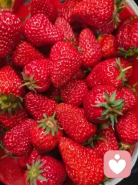 接纳像一个守护者，不争不辩，只是稳稳地在那里，轻轻地说：“没关系，我陪着你配图