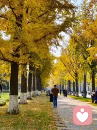 愿每一位独自前行的女性，都能在岁月里，与自己和解，与生活相拥，活成自己最想要的模样配图