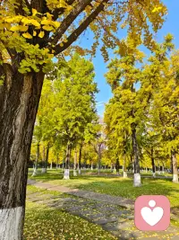 愿每一位独自前行的女性，都能在岁月里，与自己和解，与生活相拥，活成自己最想要的模样配图