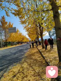 愿每一位独自前行的女性，都能在岁月里，与自己和解，与生活相拥，活成自己最想要的模样配图