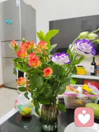 真正的倾听，是透过语言的水面，打捞出一个人真实的情绪和未说出口的需求。配图