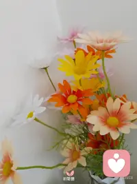 好好说话，就是把爱放进语言里，把耐心留给身边人。它能化解矛盾，温暖人心，也能慢慢修复我们内心的伤痕。配图