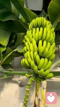 真正长久的人生，一定是松弛有度的；真正强大的内心，是允许自己停下来的。配图