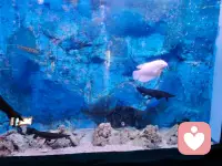 保持一颗柔软易感的心，去体验四季的更迭，去接纳情绪的流动，本身就是一种了不起的能力。配图