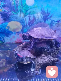 保持一颗柔软易感的心，去体验四季的更迭，去接纳情绪的流动，本身就是一种了不起的能力。配图