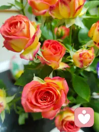 只有当你成为一个精神独立的成年人时，你才能拥有一段健康的亲密关系配图