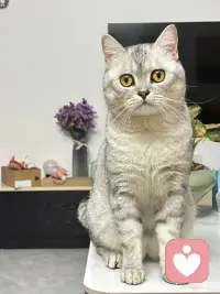 我在这里，和照片里一样。你慢慢说，我真实地听着。配图