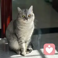 我在这里，和照片里一样。你慢慢说，我真实地听着。配图