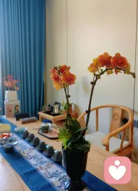 身体的稳定是心理稳定的基石。长期熬夜、饮食不规律会直接消耗你的心理能量储备，让人更容易陷入脆弱和不安。配图