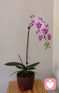 身体的稳定是心理稳定的基石。长期熬夜、饮食不规律会直接消耗你的心理能量储备，让人更容易陷入脆弱和不安。配图