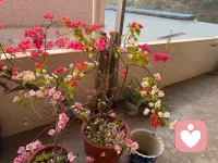 让正念真正适配自己的生活节奏，才能让它成为缓解身心疲惫、提升生活幸福感的小帮手，而不是又一个带来压力的负担。配图