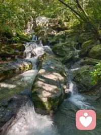 我们都能在岁月里，不慌不忙，向阳而生，把每一次遇见，都活成温柔的风景。配图