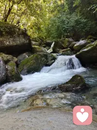 我们都能在岁月里，不慌不忙，向阳而生，把每一次遇见，都活成温柔的风景。配图