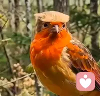 一个善良的人，心中充满了爱与温暖配图