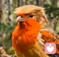 一个善良的人，心中充满了爱与温暖配图