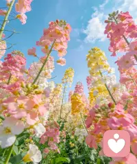 只有先爱自己，才有能力爱别人，才能在繁杂的生活里，守住内心的光。配图