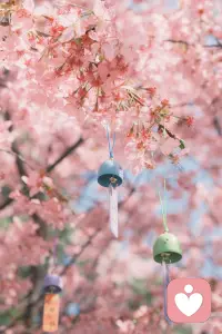 只有先爱自己，才有能力爱别人，才能在繁杂的生活里，守住内心的光。配图