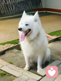 你的身体，是你一生中最忠诚的伴侣。它记录着你所有的欢笑与泪水，并以健康或疾病的方式，给你最直接的反馈。 学习聆听情绪的语言，不仅是心灵的成长，更是对自己生命最根本的呵护。配图
