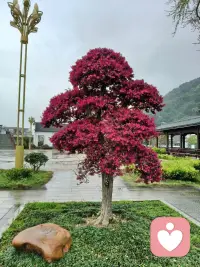 女人最大的安全感，从来不是依附谁、依靠谁，而是无论何时，都保有独立的价值、耀眼的魅力，和不畏惧失去的底气。守住自我，才是婚姻与人生最稳的靠山。配图