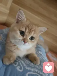 允许自己脆弱，
允许自己休息，
允许自己不完美，
允许自己在黑暗里待一会儿，再慢慢走向光亮。