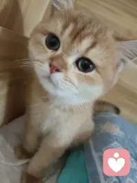 允许自己脆弱，
允许自己休息，
允许自己不完美，
允许自己在黑暗里待一会儿，再慢慢走向光亮。