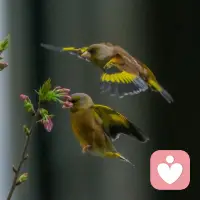 愿你在自然般的疗愈中，找回内心的平静与自我价值