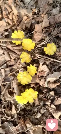 多一份包容，少一份计较；在理解中彼此成就，让婚姻成为温暖的港湾。