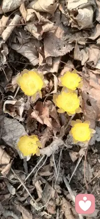 多一份包容，少一份计较；在理解中彼此成就，让婚姻成为温暖的港湾。