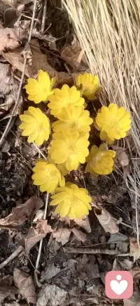 多一份包容，少一份计较；在理解中彼此成就，让婚姻成为温暖的港湾。