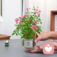 爱自己，不是终点，是起点。 当你学会爱自己，你才有能力爱别人，也才有勇气让别人爱你。配图