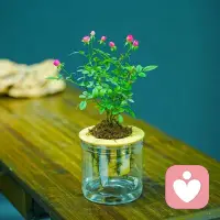 爱自己，不是终点，是起点。 当你学会爱自己，你才有能力爱别人，也才有勇气让别人爱你。配图