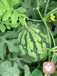 少一点评判，多一点共情；少一点对立，多一点理解配图