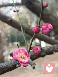 当我们用共情之心拥抱生活，便会发现，原来理解可以化解所有坚硬，温暖可以融化一切寒凉。配图