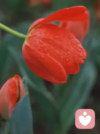 满满的正能量对抗生活的风雨，活成自己喜欢的模样，奔赴温暖而明亮的人生。配图