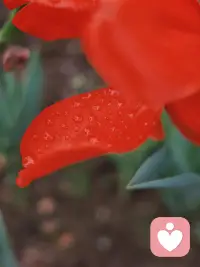 满满的正能量对抗生活的风雨，活成自己喜欢的模样，奔赴温暖而明亮的人生。配图
