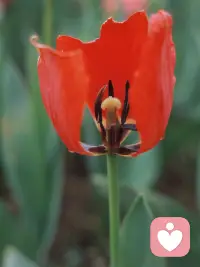 满满的正能量对抗生活的风雨，活成自己喜欢的模样，奔赴温暖而明亮的人生。配图