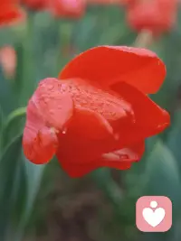 满满的正能量对抗生活的风雨，活成自己喜欢的模样，奔赴温暖而明亮的人生。配图