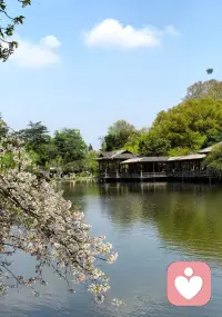 愿我们停下脚步感恩生活给予我们的馈赠，一日三餐，人间烟火接住这份生活的含情脉脉，心怀感恩遇见自我，温暖走过每一段时光！配图