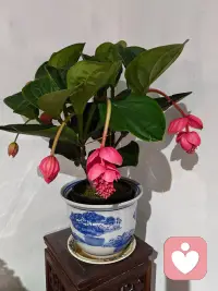 请把自己的感受放在第一位，别委屈自己，人生很短，不必在痛苦中耗尽热情。配图