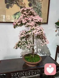 请把自己的感受放在第一位，别委屈自己，人生很短，不必在痛苦中耗尽热情。配图