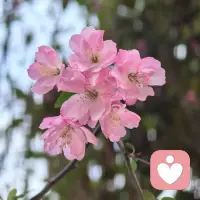 真正健康长久的关系，从来不是靠单方面牺牲维系，而是彼此尊重、边界清晰，舒服自在地相处。配图
