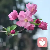 真正健康长久的关系，从来不是靠单方面牺牲维系，而是彼此尊重、边界清晰，舒服自在地相处。配图