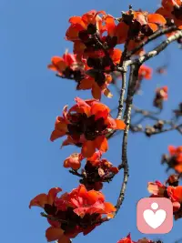 允许自己难过，允许自己暂时放松，允许一切不完美的事情发生，允许自己做一个不那么优秀、不那么坚强的普通人，这才是对自己最好的温柔与善待。配图