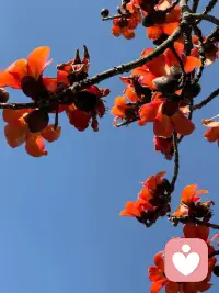 允许自己难过，允许自己暂时放松，允许一切不完美的事情发生，允许自己做一个不那么优秀、不那么坚强的普通人，这才是对自己最好的温柔与善待。配图
